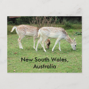 postal de Nueva Gales del Sur (Australia)