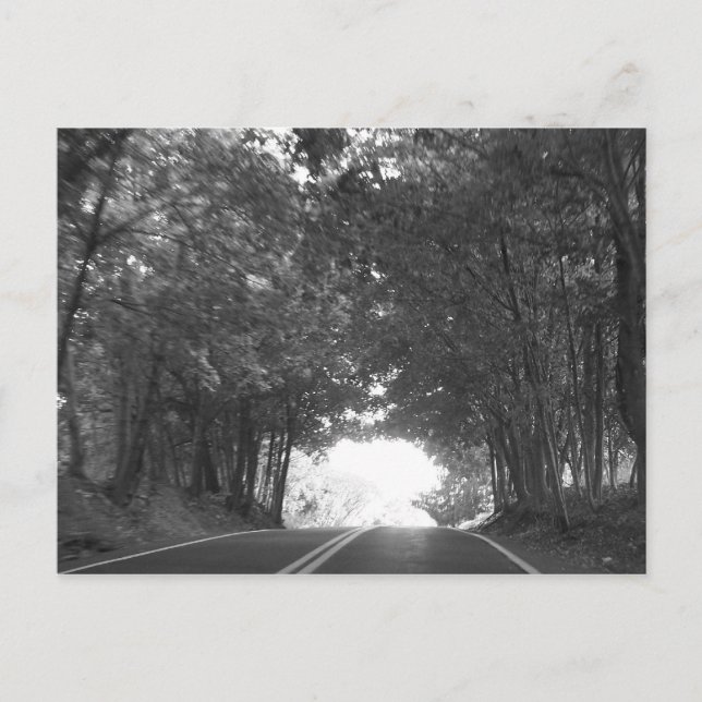 Postal De nuevo en el camino (Anverso)