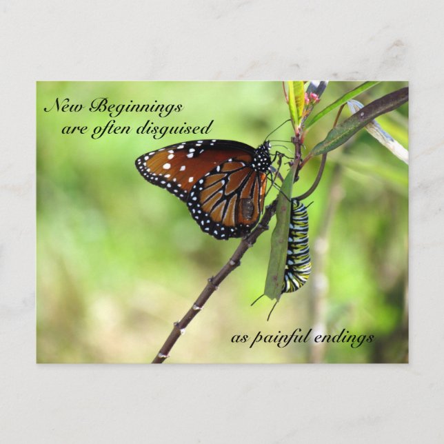 Postal de nuevos comienzos (Anverso)