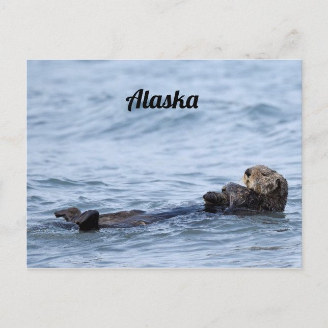 Postal de nutria (Anverso)