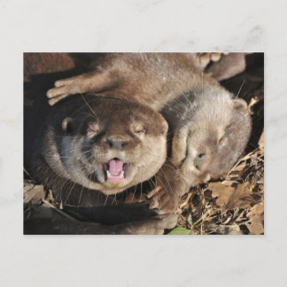 Postal de nutria con arcilla