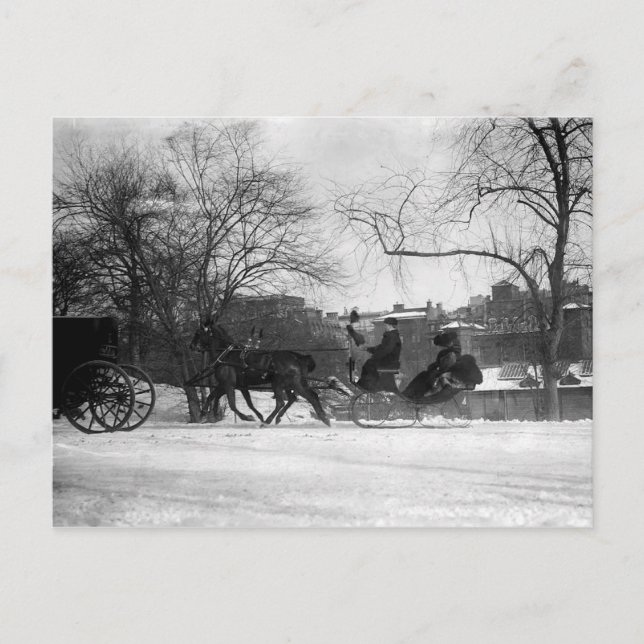 Postal de NYC con Sleigh Drawn (Anverso)