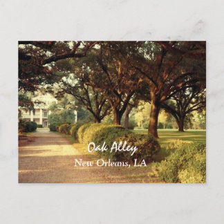Postal de Oak Alley New Orleans