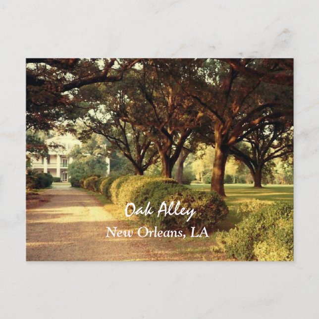 Postal de Oak Alley New Orleans (Anverso)