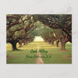 Postal de Oak Alley New Orleans