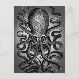 Postal de Octopus