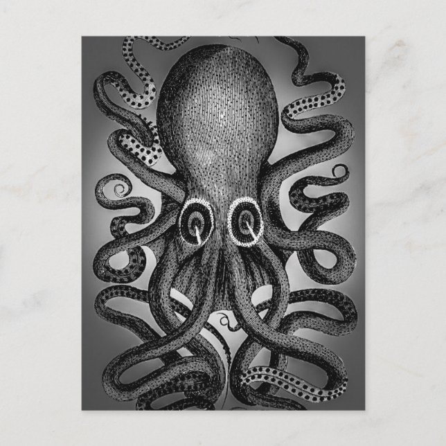 Postal de Octopus (Anverso)
