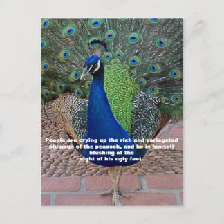 Postal de oferta de pavo real