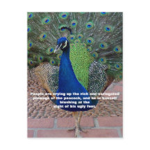 Postal de oferta de pavo real