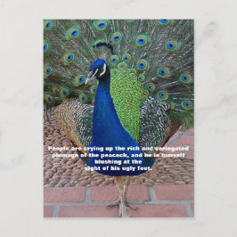 Postal de oferta de pavo real