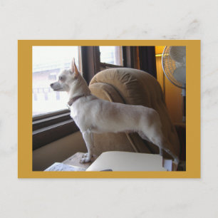 Postal de Office Chihuahua