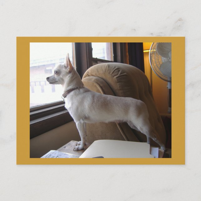 Postal de Office Chihuahua (Anverso)