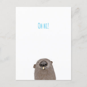 postal de 'Oh hi' de manicomio