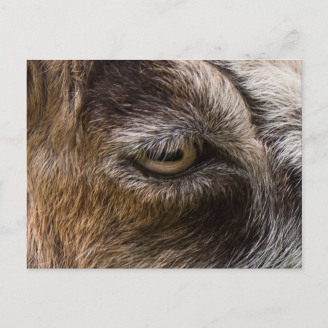 Postal de ojo de cabra (Anverso)