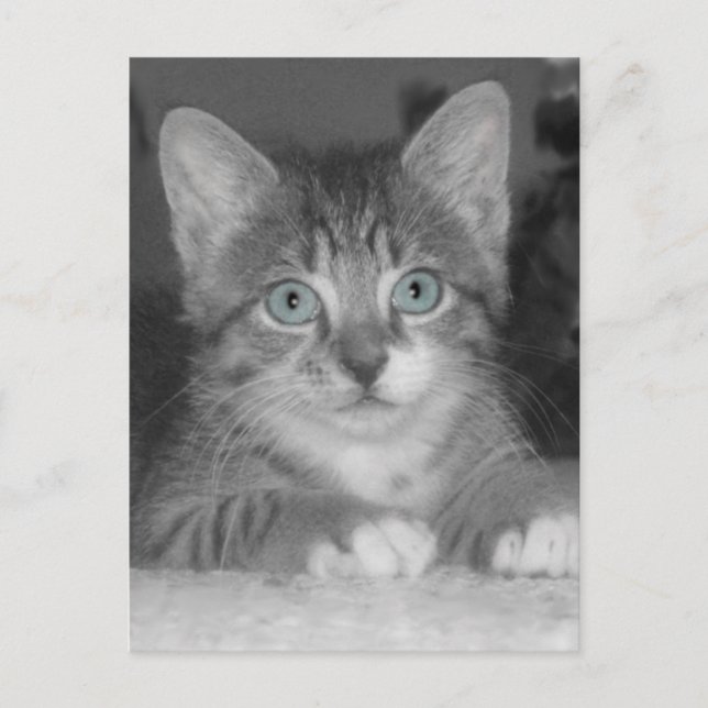 Postal de ojos azules (Anverso)