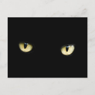 postal de ojos de gato negro