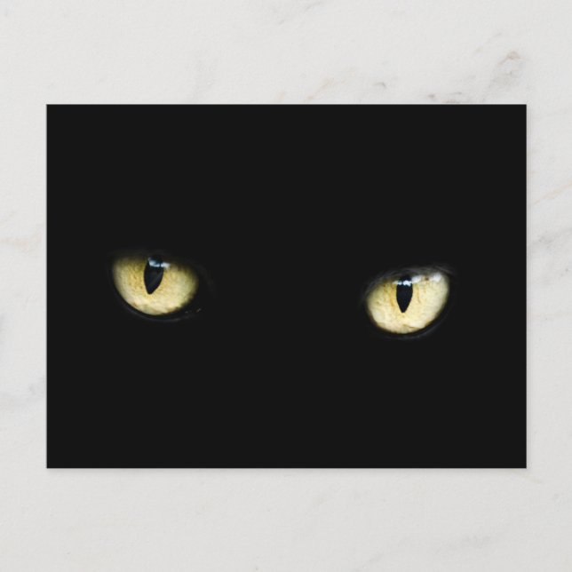 postal de ojos de gato negro (Anverso)