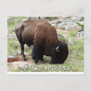 Postal de Oklahoma Bison