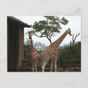 Postal de ópera de Sydney