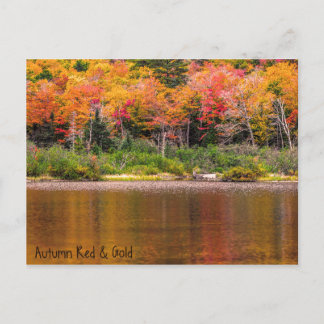 Postal de oro y rojo de otoño
