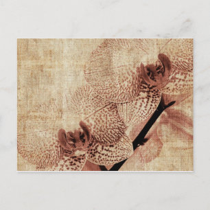 postal de orquídea