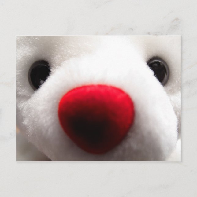 Postal de oso dulce (Anverso)