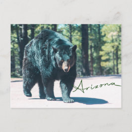 Postal de oso negro