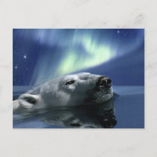 POSTAL DE OSO POLAR DE NAVEGACIÓN