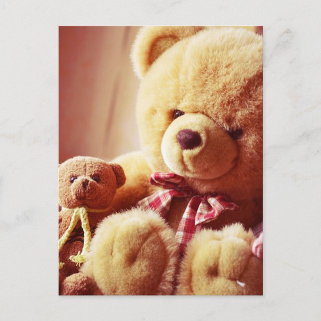 Postal de osos de peluche (Anverso)