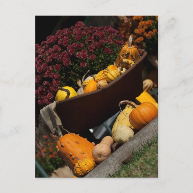 Postal de otoño (Anverso)