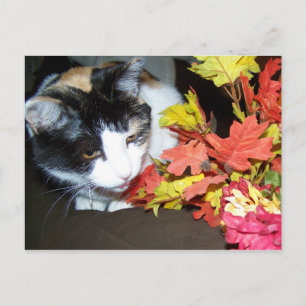 Postal de otoño de Calico Cat