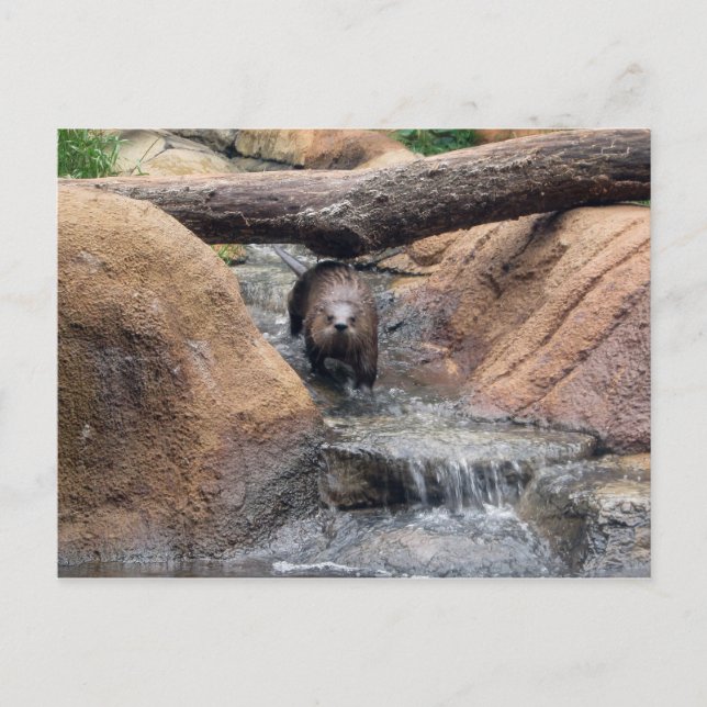 Postal de Otter River (Anverso)