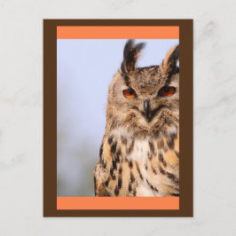 Postal de Owl Sonriente