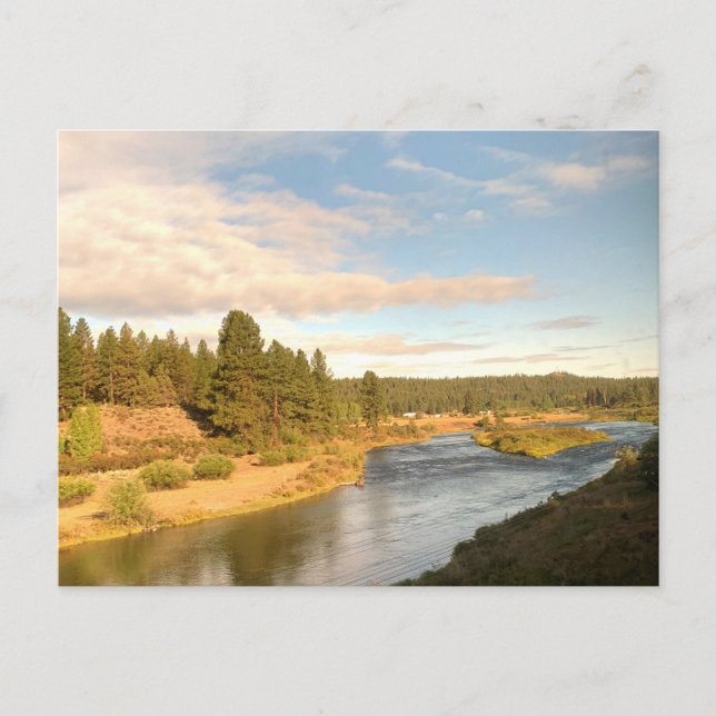 Postal de paisaje fluvial del Pacífico Noroeste (Anverso)