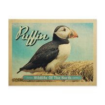 Postal de pájaro de Puffin - Vida silvestre del no
