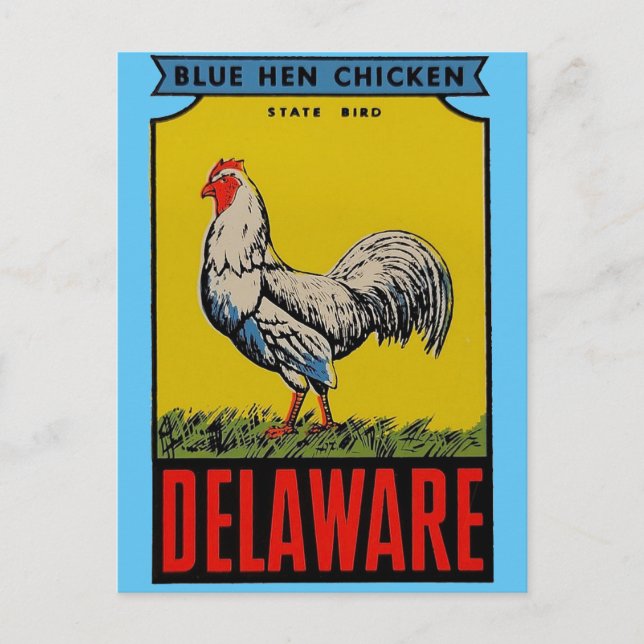 Postal de pájaro del estado de Delaware (Anverso)