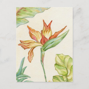 Postal de pájaro del paraíso