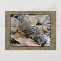 Postal de pájaro para bebé Wren
