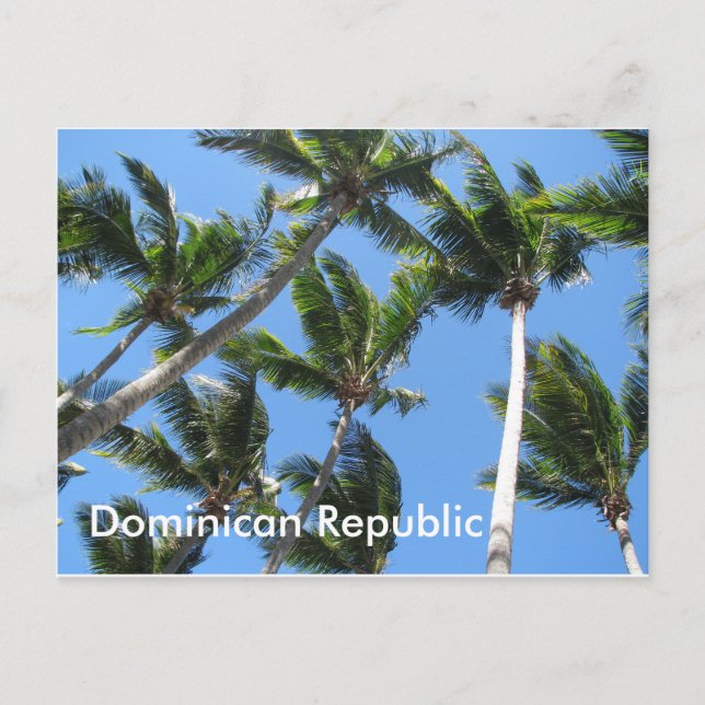 postal de palma dominicana (Anverso)