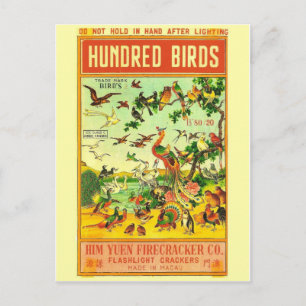 Postal de paquete de pirateo vintage