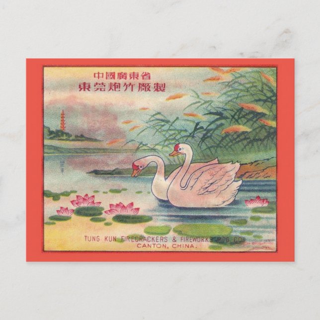 Postal de paquete de pirateo vintage (Anverso)