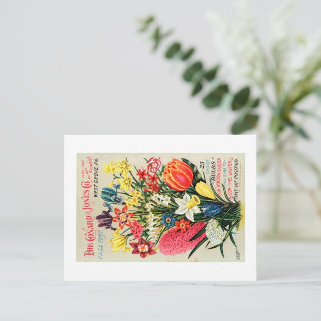 Postal de paquete de semilla vintage (Anverso de pie)