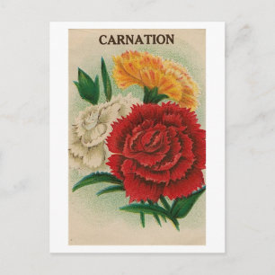 postal de paquete de semillas de zinnia vintage