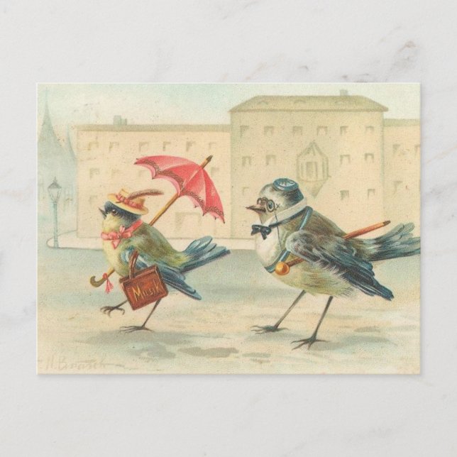 Postal De Pareja De Pájaros Vintage Tan Cuidada (Anverso)