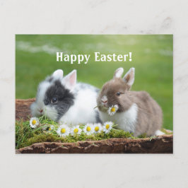 Postal de Pascua del Conejo 8
