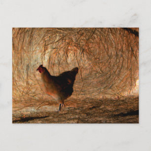 Postal "De paseo" - Foto digitalmente mejorada de pollo y