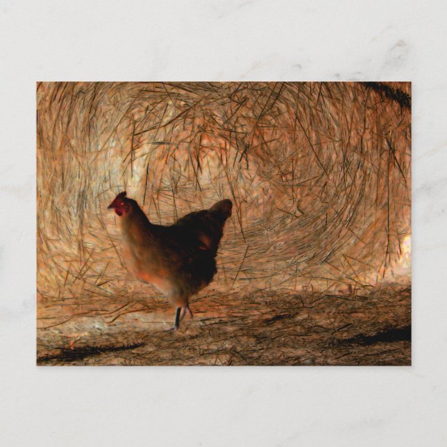 Postal "De paseo" - Foto digitalmente mejorada de pollo y (Anverso)