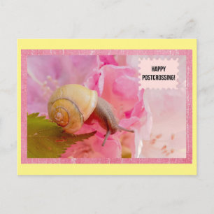 Postal de paso para Snack y Flor