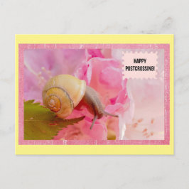 Postal de paso para Snack y Flor