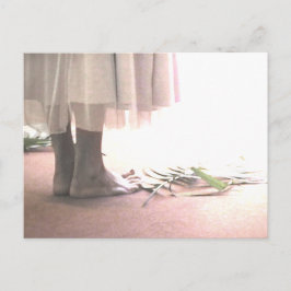 Postal de paso por tierra sagrada